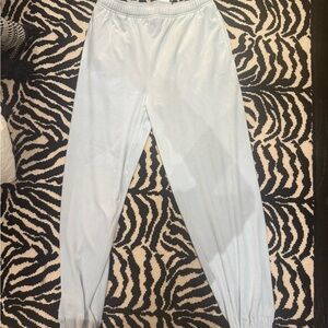 Aritzia Sky Blue Joggers